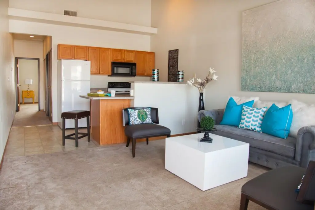 1 Bedroom - living room and kitchen